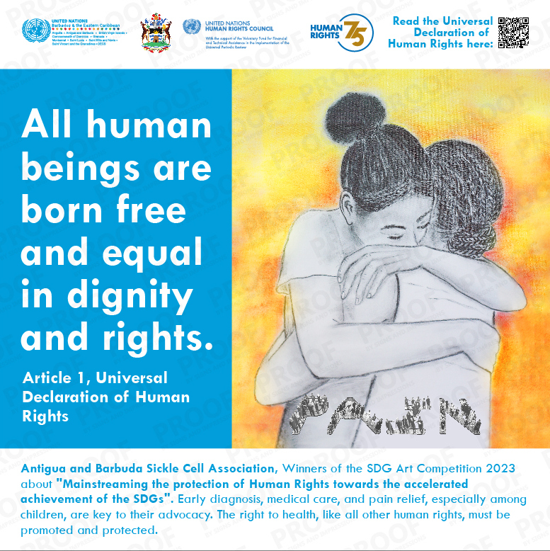 Antigua and Barbuda Sickle Cell Association wins the UN’s Human Rights Art Competition